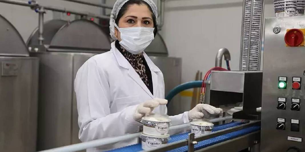 Pazarlamacı olarak başladı 17 yıl sonra tesisini kurdu: Yılda 700 ton üretim yapıyor 7